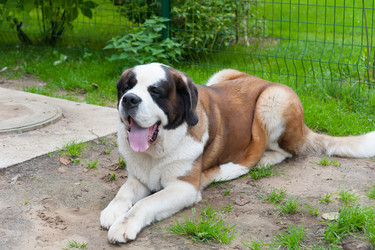 Similar image 13243302