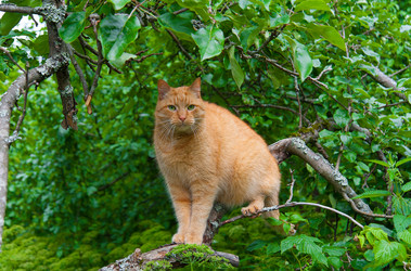 Similar image 13243241