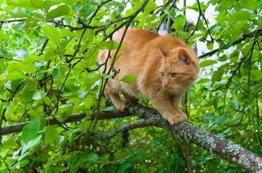 Similar image 13243242