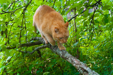 Similar image 13243295