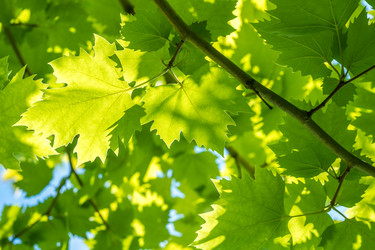 Similar image 13278852