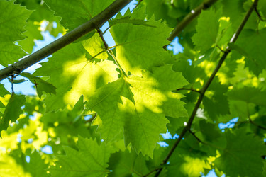 Similar image 13278854