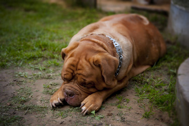 Similar image 13243306