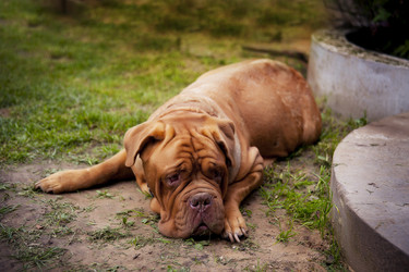 Similar image 13243309