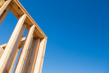 Similar image 13251635