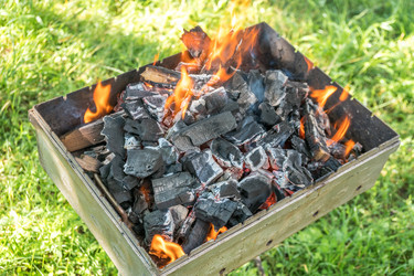 Similar image 13278821