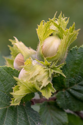 Similar image 13278825