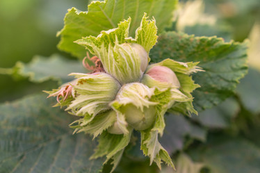 Similar image 13278862