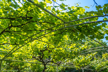 Similar image 13278848