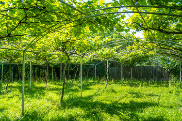 Similar image 13278849