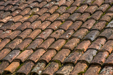 Similar image 13278865