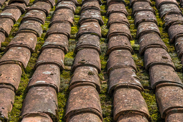 Similar image 13278868