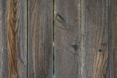 Similar image 13278851