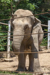 Similar image 13278798