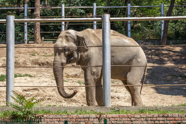 Similar image 13278801