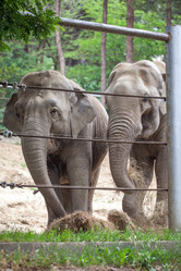 Similar image 13278803