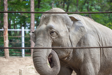 Similar image 13278805