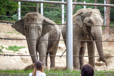 Similar image 13278818