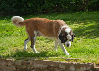 Similar image 13243320