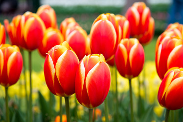 Similar image 13288655