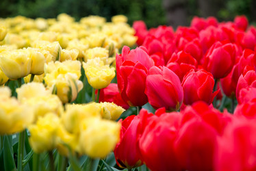 Similar image 13288683