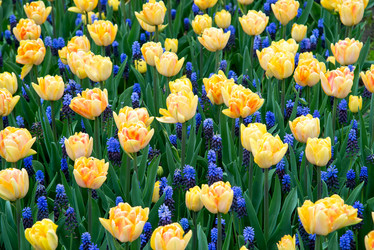 Similar image 13288684