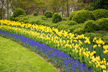 Similar image 13288687