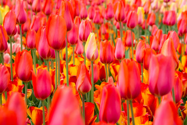 Similar image 13288688