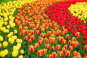 Similar image 13264532