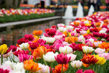 Similar image 13272273