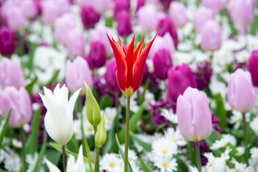 Similar image 13272276