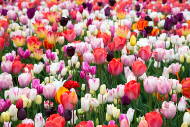 Similar image 13272279