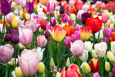 Similar image 13272300