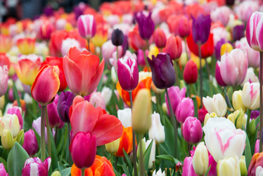 Similar image 13272301