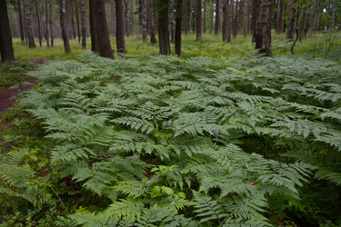 Similar image 13243327