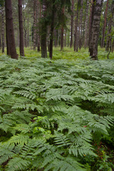 Similar image 13243325