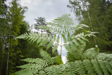 Similar image 13243331