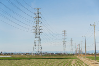 Similar image 13248404