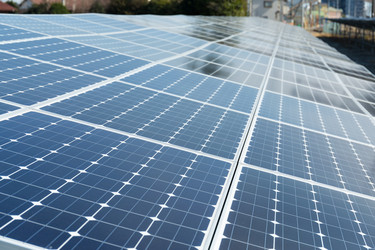 Similar image 13248405