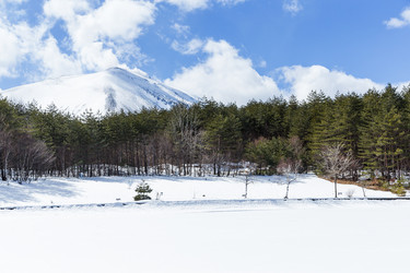 Similar image 13248463