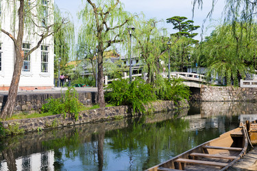 Similar image 13246239