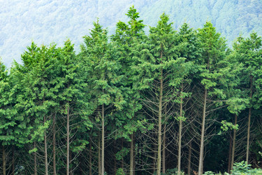 Similar image 13246267