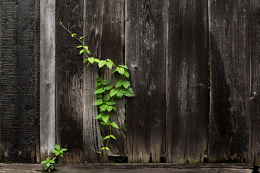 Similar image 13246279