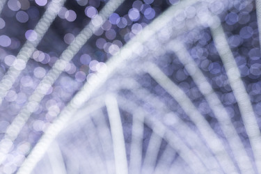 Similar image 13246188