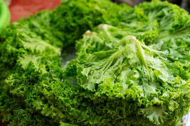 Similar image 13248287