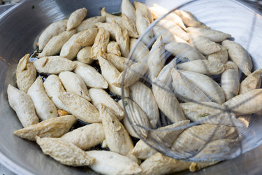 Similar image 13248347