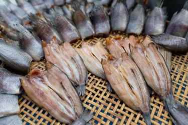 Similar image 13249815