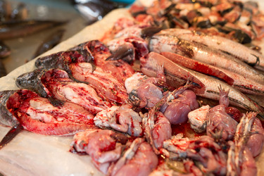 Similar image 13249878