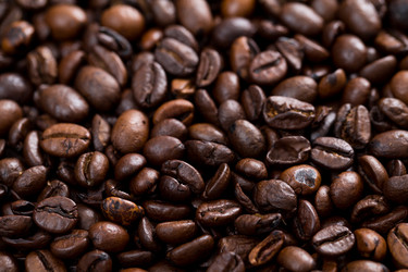 Similar image 13246230