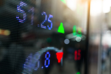 Similar image 13246232